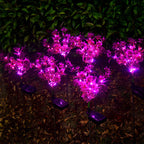 Solcelledrevet lilla blomsterbedslampe på spyd med LED-lys