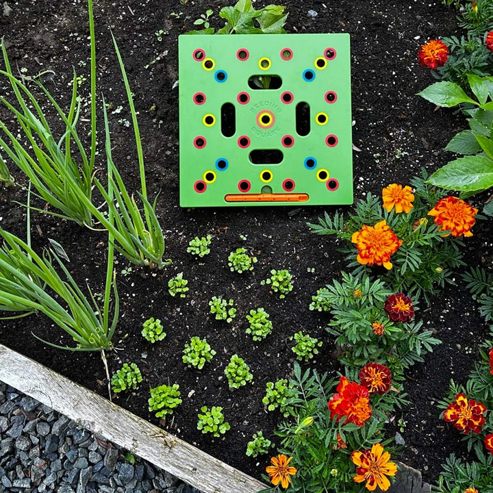 Plantilla de jardín PlantPro para espaciar semillas con precisión