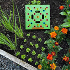 Plantilla de jardín PlantPro para espaciar semillas con precisión