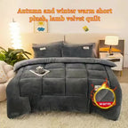 Plush Quilted Bedspread Set