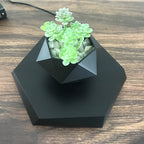 Svævende plantepotte med magnetisk levitation