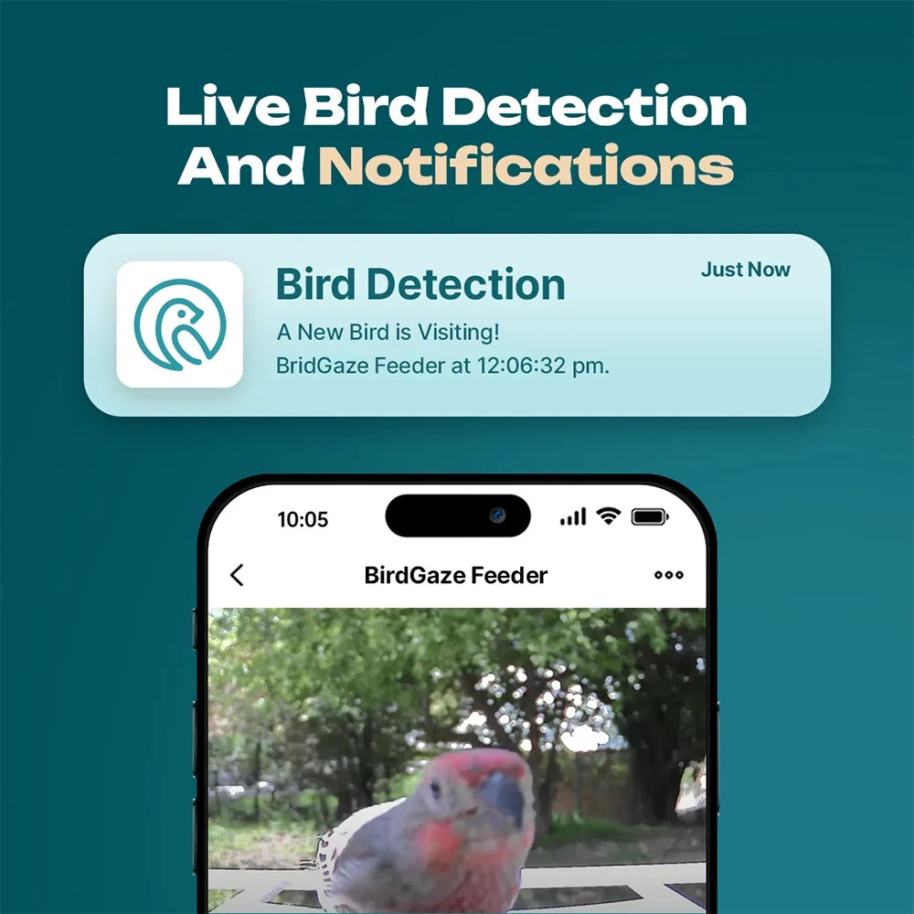 Solar Smart Bird Feeder with HD Camera