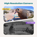 Solar Smart Bird Feeder with HD Camera