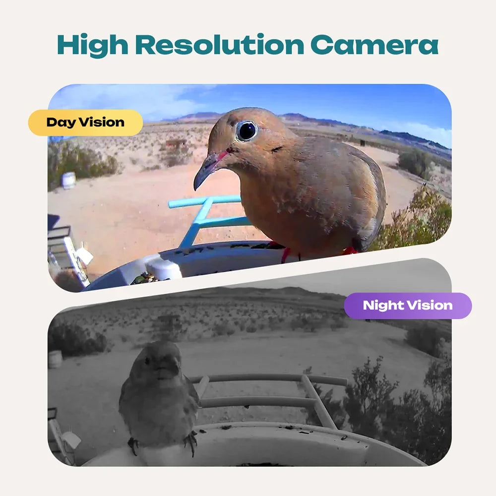Solar Smart Bird Feeder with HD Camera