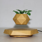 Svævende plantepotte med magnetisk levitation