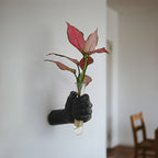 Jarrón de pared con forma de mano para flores
