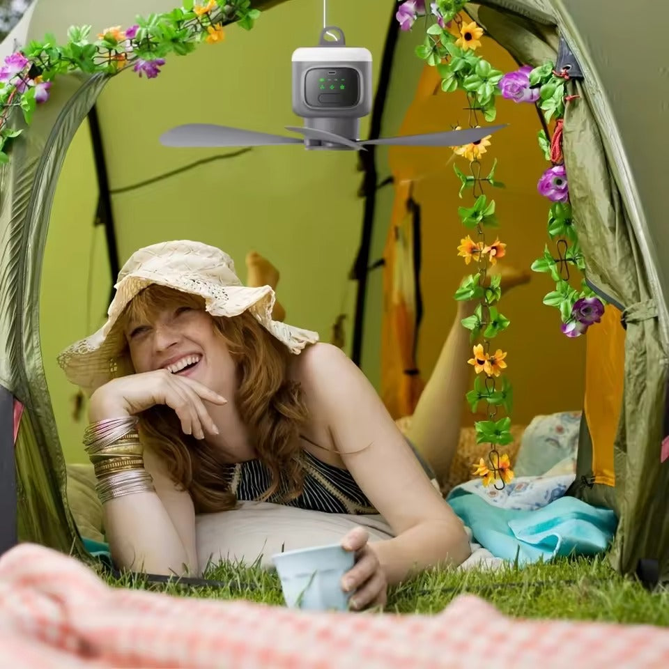 Cordless Rechargeable Ceiling Fan with Integrated Light