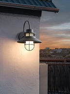 Industrial Outdoor Cage Wall Light