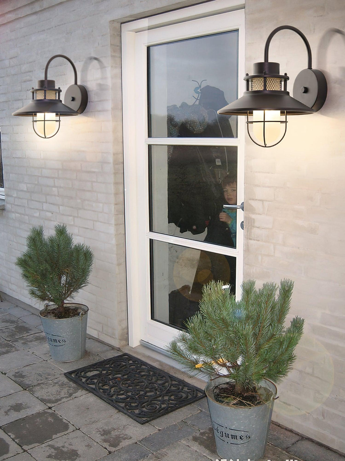 Industrial Outdoor Cage Wall Light