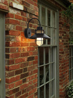 Industrial Outdoor Cage Wall Light