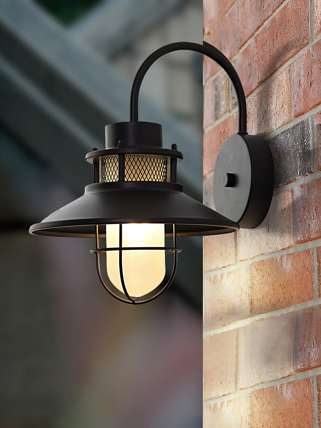 Industrial Outdoor Cage Wall Light