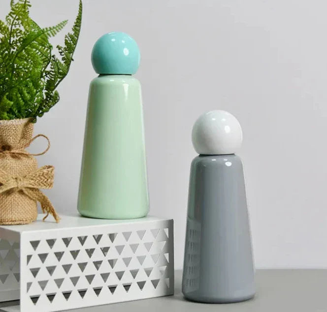 Insulated Reusable Water Bottle with Rounded Lid