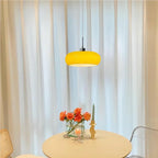 Glass Dome Pendant Ceiling Light