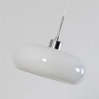 Glass Dome Pendant Ceiling Light