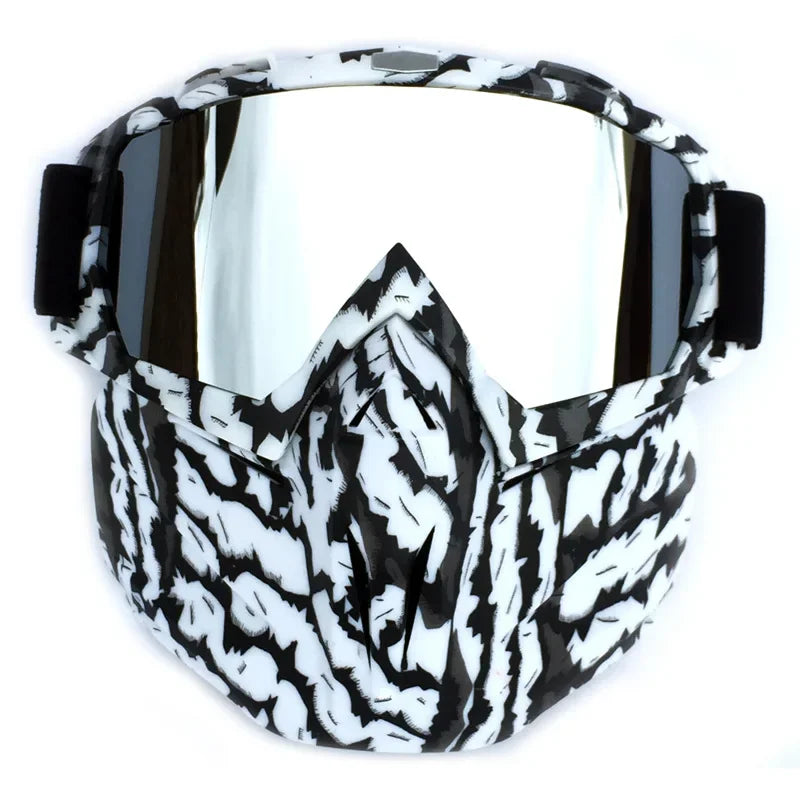 Ski Goggles with Detachable Face Guard