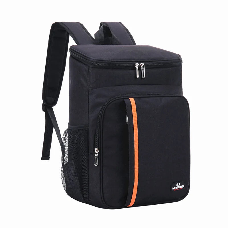 Insulated Travel Backpack with Multiple Compartments