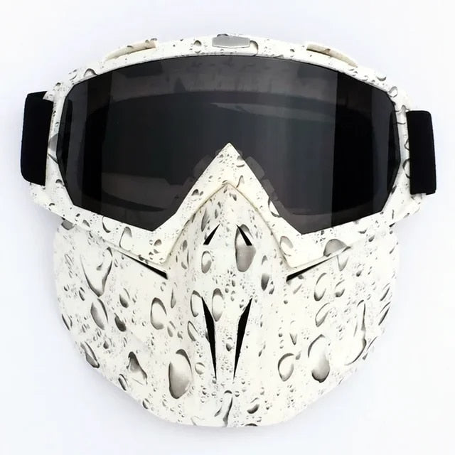 Ski Goggles with Detachable Face Guard
