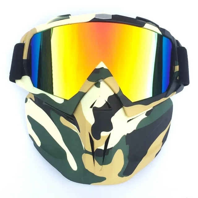 Ski Goggles with Detachable Face Guard