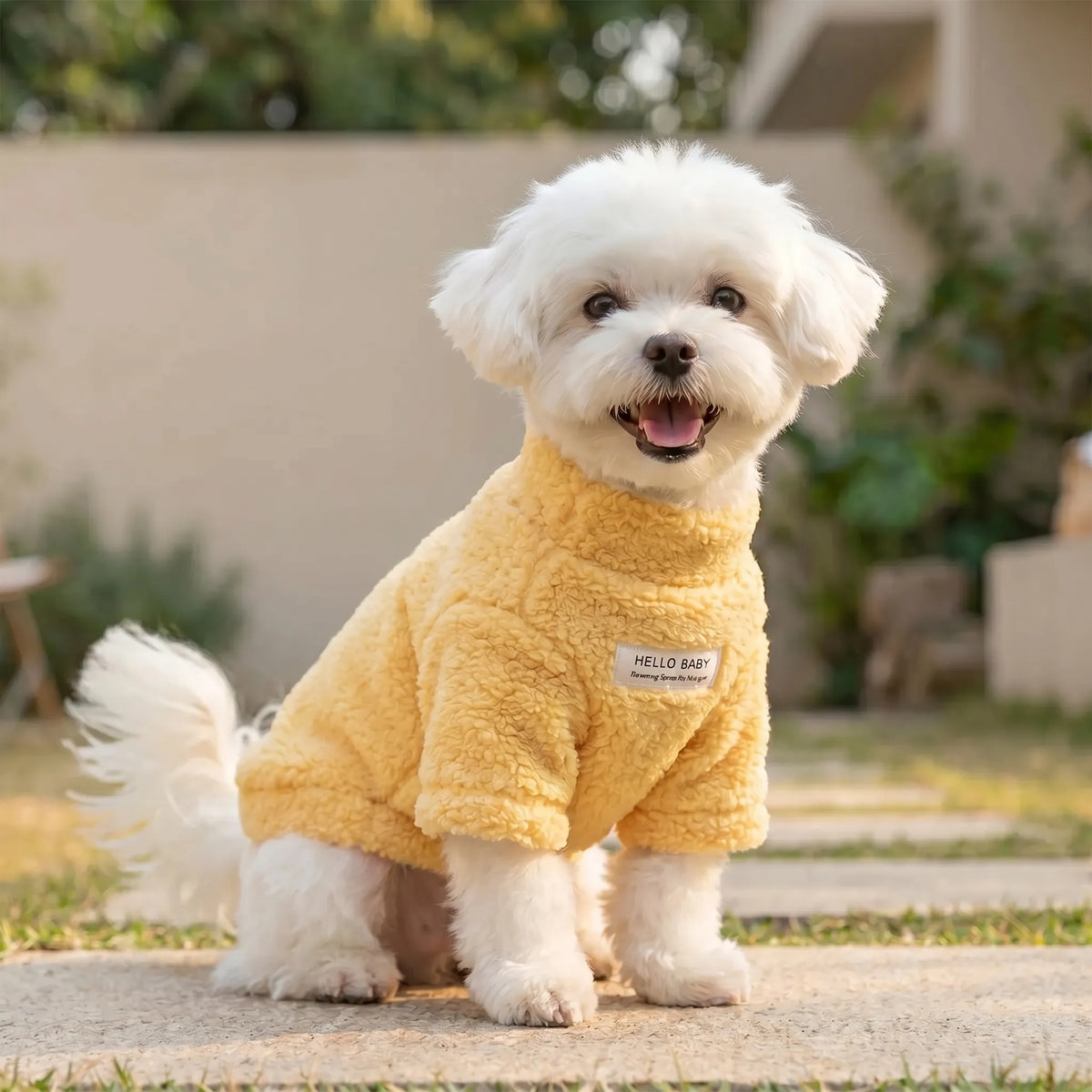 Maglione morbido e soffice per cani con attacco per guinzaglio