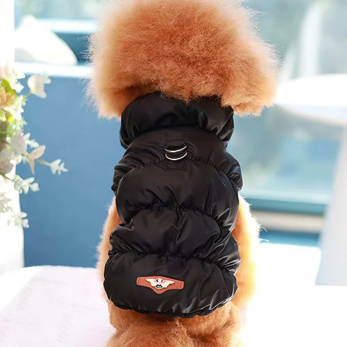 Padded Cat Jacket with Hood