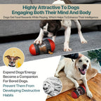 Interactive Dog Treat Dispenser Toy