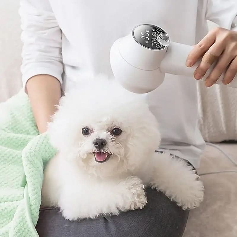 Secador digital de pelo para mascotas 2 en 1 con cepillo alisador