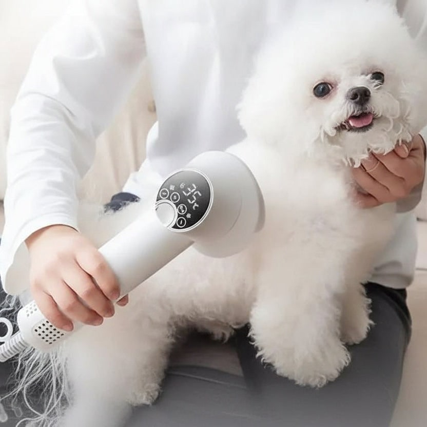 Secador digital de pelo para mascotas 2 en 1 con cepillo alisador