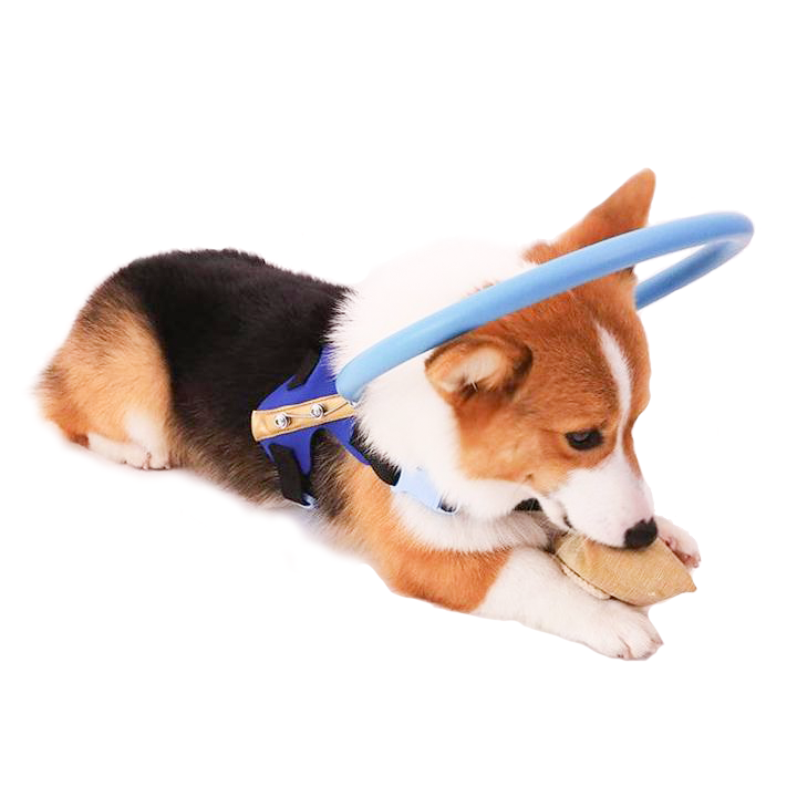 Harnais pour chien avec anneau de protection rembourré