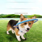 Harnais pour chien avec anneau de protection rembourré