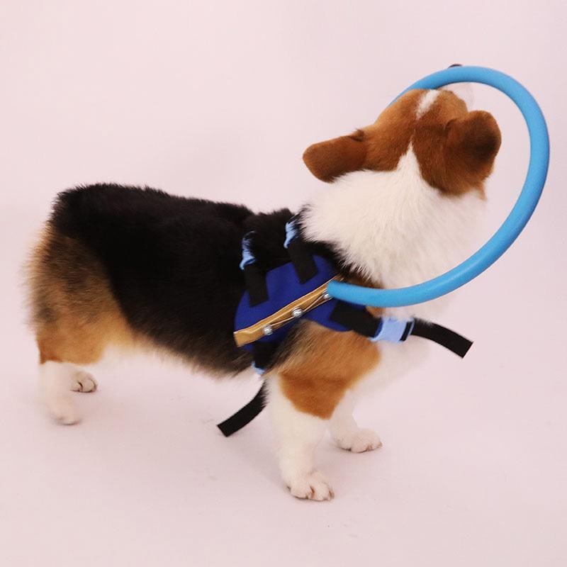 Harnais pour chien avec anneau de protection rembourré