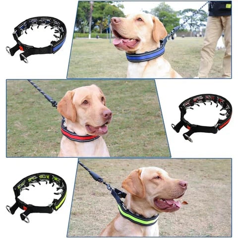 Reflekterande hundträningshalsband med metallpiggar