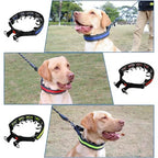 Reflekterande hundträningshalsband med metallpiggar