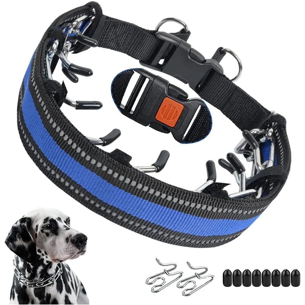 Reflekterande hundträningshalsband med metallpiggar
