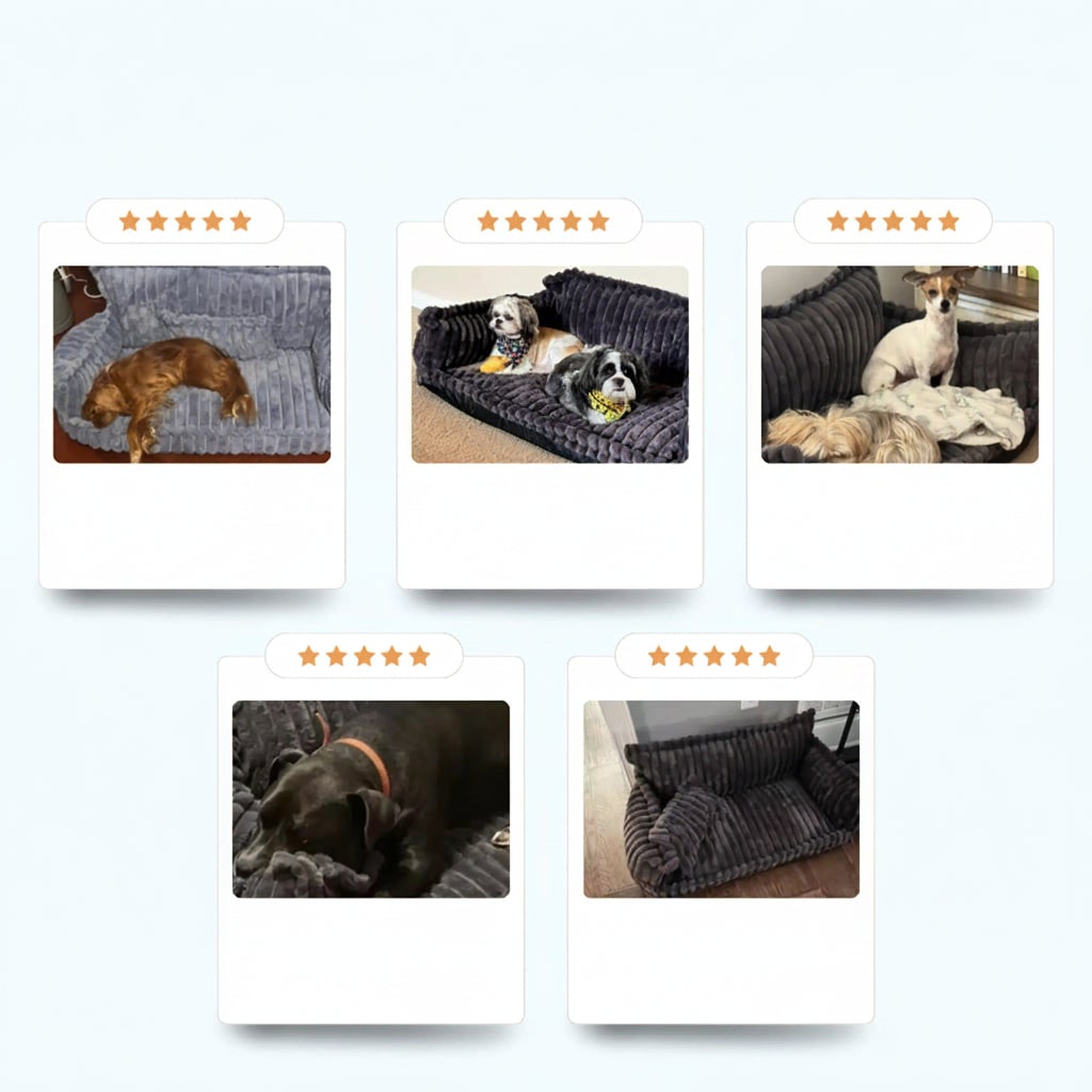 Weiches, waschbares Hundesofa mit erhöhten Seitenrändern