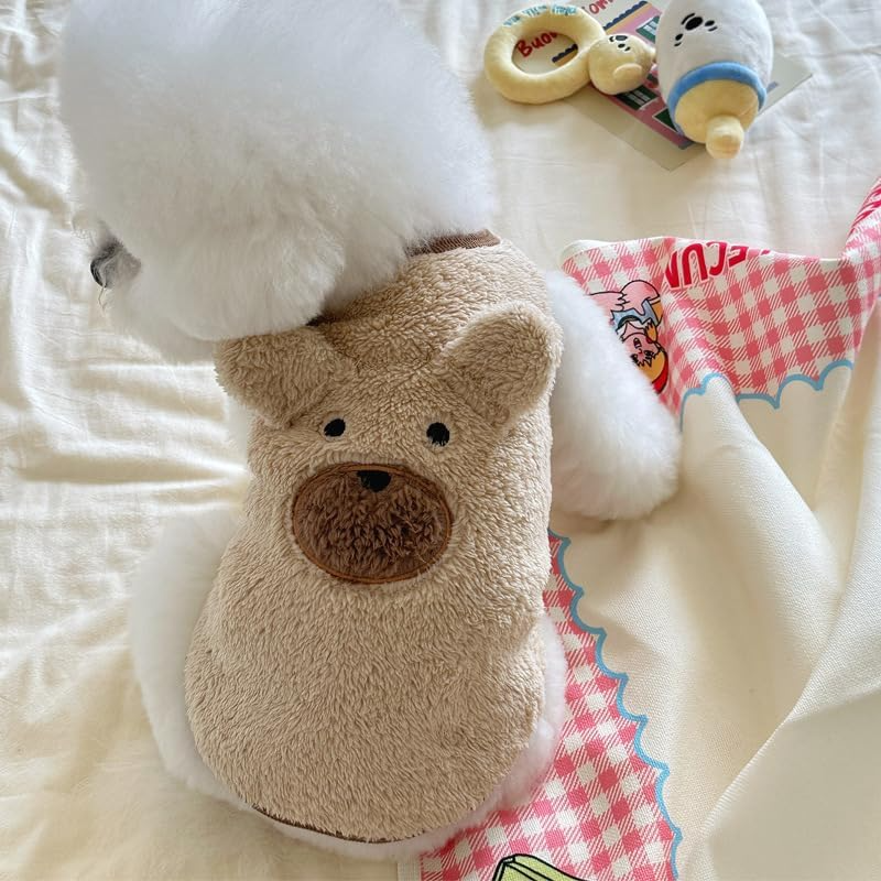 Plush Bear Paw Pet Slippers