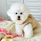 Plush Bear Paw Pet Slippers