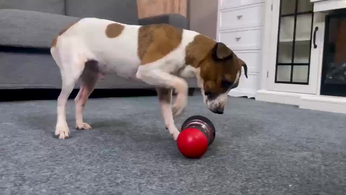 Interactive Dog Treat Dispenser Toy