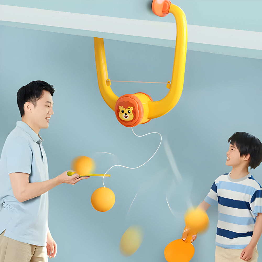 Door-Mounted Swing Ball Game