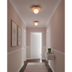 Flower-Shaped LED Ceiling Light