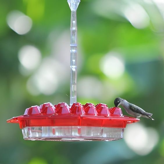 Wiszący karmnik dla kolibrów z wieloma otworami do karmienia