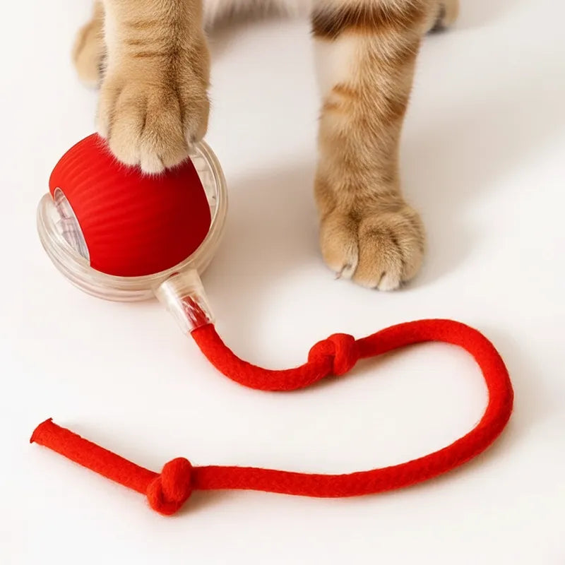 SmartBall, gioco interattivo automatico per inseguimenti dei gatti