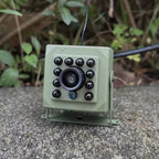 Caméra d’observation des oiseaux Wi-Fi 1080p avec détection de mouvement et vision nocturne