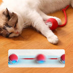SmartBall, gioco interattivo automatico per inseguimenti dei gatti