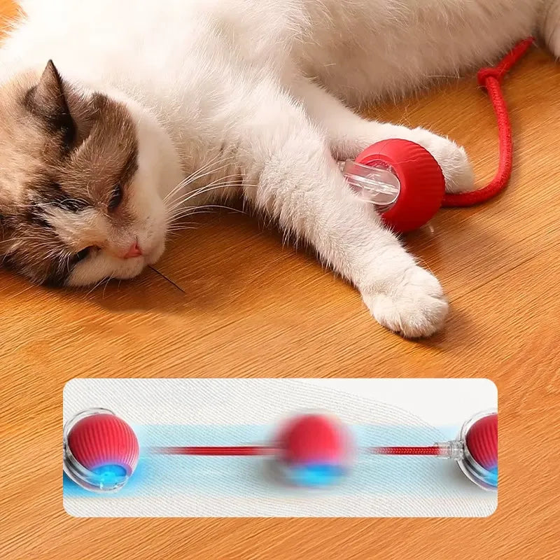 SmartBall, gioco interattivo automatico per inseguimenti dei gatti