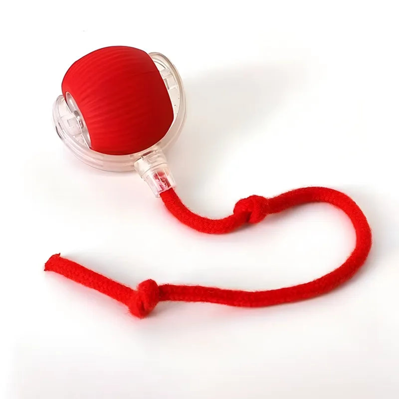 SmartBall, gioco interattivo automatico per inseguimenti dei gatti