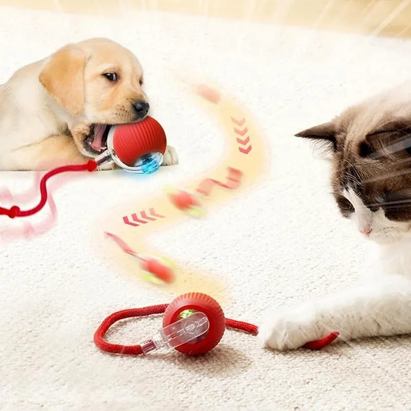 SmartBall, gioco interattivo automatico per inseguimenti dei gatti