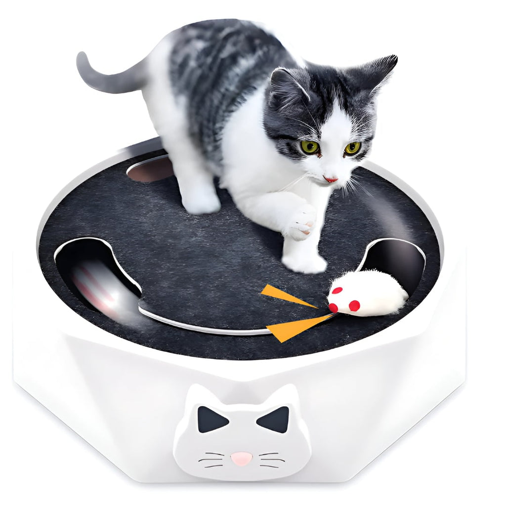 Juguete interactivo motorizado para gatos con ratón perseguidor y rascador