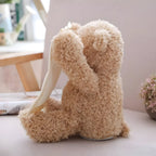 Interactive Peekaboo Teddy Bear
