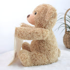 Interactive Peekaboo Teddy Bear