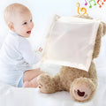 Interactive Peekaboo Teddy Bear
